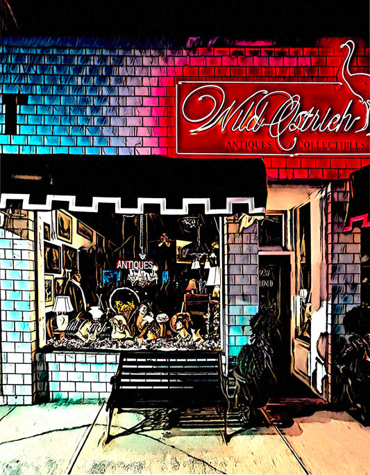 The Wild Ostrich @ Night